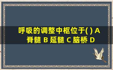 呼吸的调整中枢位于( ) A 脊髓 B 延髓 C 脑桥 D 中脑